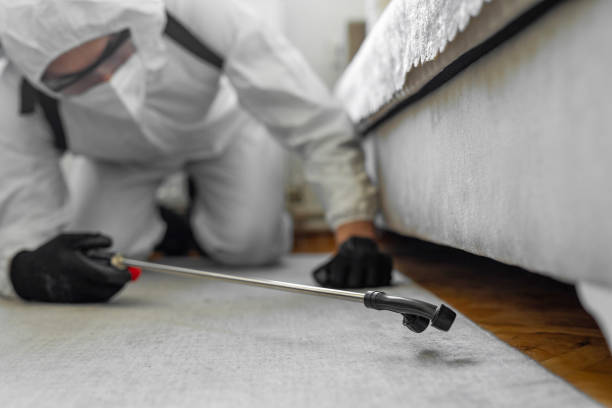 Professional Cockroach Control technician working in Holtsville, NY