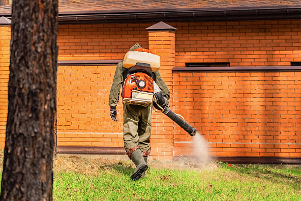 Trusted Cockroach Control service in Holtsville, NY - Nex Pest Control